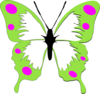 Butterfly Clip Art