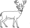 Deer Outline Clip Art