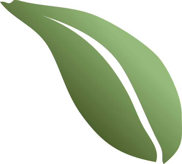 clipart tea leaves - photo #9