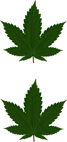 2 Cannabis Leaves Clip Art at Clker.com - vector clip art online