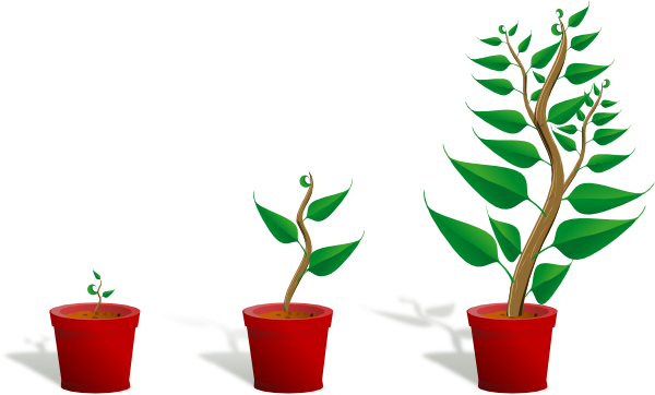 flower growing clipart - photo #3