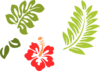 Hibiscus 24 Clip Art