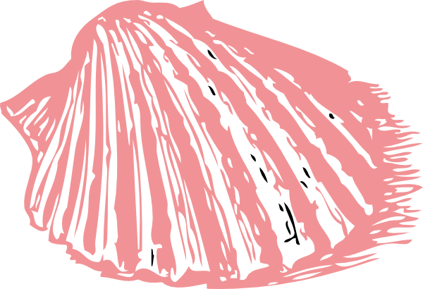Pink Sea Shell Clip Art At Vector Clip Art Online Royalty