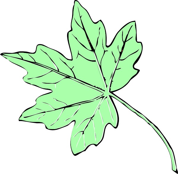 clipart maple leaves - photo #43