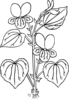 Viola Glabella Plant Clip Art