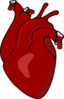 Romanthescreamingheart Clip Art