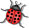 Lady Bug Clip Art