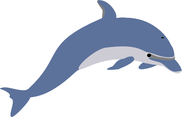 free animated dolphin clipart - photo #4