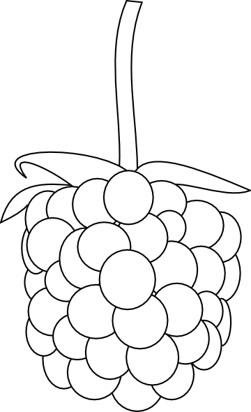 Raspberry Outline Clip Art at Clker.com - vector clip art online