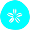 Sand Dollar Teal Clip Art