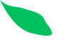 Dark Green Leaf Clip Art