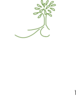Simple Leafy Tree Green With Roots Clip Art