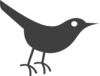 Blacktwitterbird Clip Art