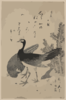 Wildfowl And Pine. Clip Art