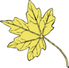 Gold Maple Leaf Clip Art