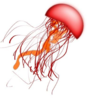 Red Jellyfish Clip Art