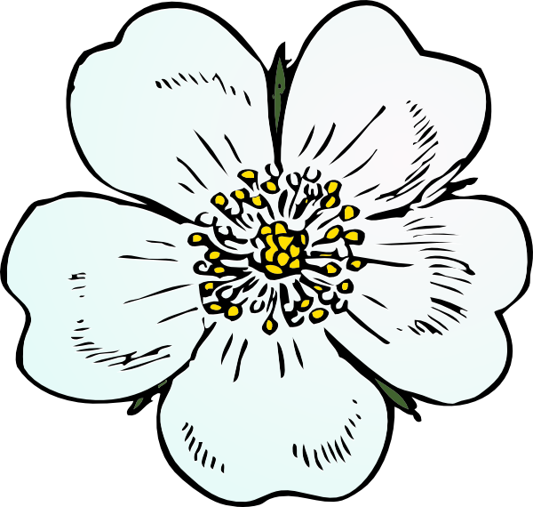clipart rose of sharon - photo #20