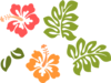 Hibiscus3 Clip Art