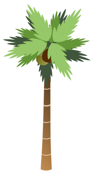coconut tree clip art - photo #18