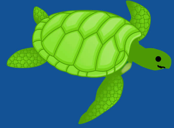 clip art for turtle - photo #32