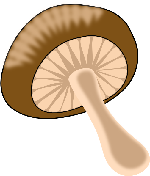 mushroom slice clip art - photo #8