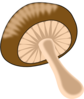 Wild Mushroom Clip Art