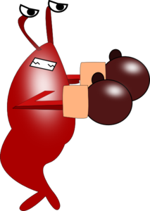Boxing Shrimp Clip Art
