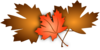  Leaves Clip Art