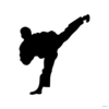 Karate Patada Clip Art