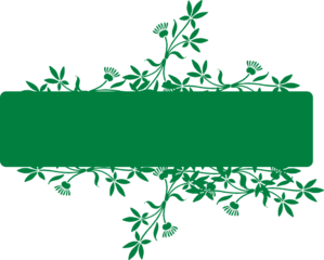 Green Banner Clip Art