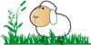 Sheep With Grass Clip Art