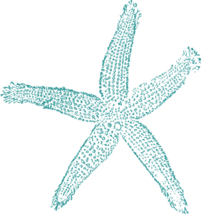 Maehr Teal Starfish Clip Art