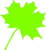 Green Leaf Clip Art