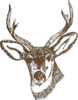 Reindeer Clip Art