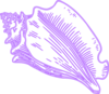 Conch Shell Clip Art