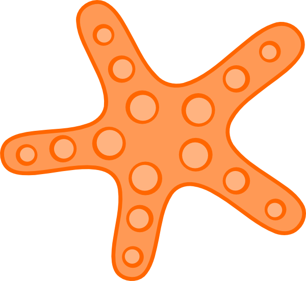 free starfish clipart - photo #20