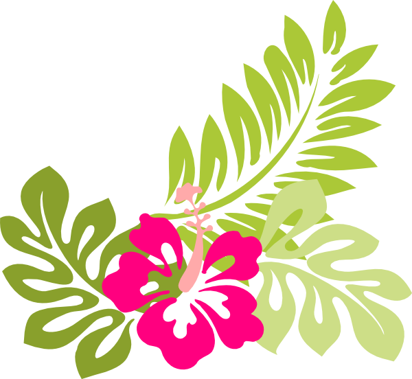 clipart hibiscus flower - photo #23