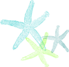 Turquoise Green Starfish Clip Art