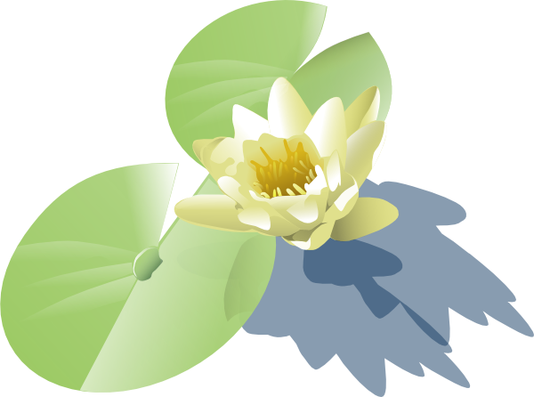 clipart water lily - photo #20