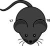 Mouse Clip Art