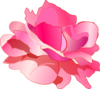 Pink Rose Clip Art