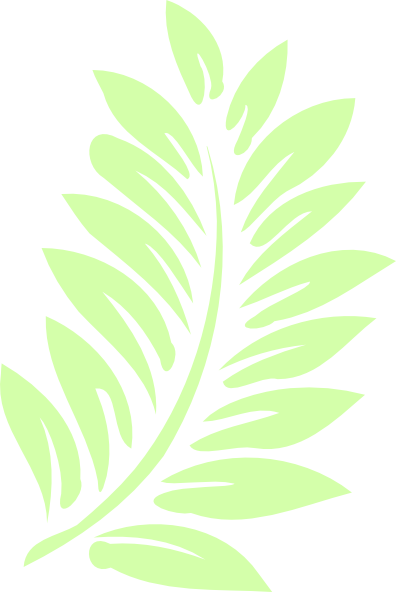 palm leaf clipart - photo #1