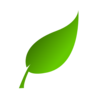 Green Leaf Clip Art