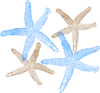 Starfish Prints Clip Art