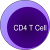 Cd4 T Cell Clip Art