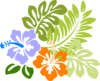 Hibiscus Brenda Clip Art