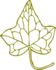 Ivy Leave Clip Art