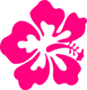 One Hibiscus Clip Art