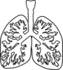 Lung Clip Art