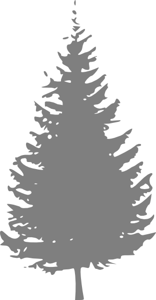 pine tree clipart. Gray Pine Tree clip art